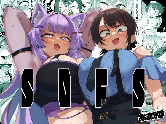 SOFS サンプル 1